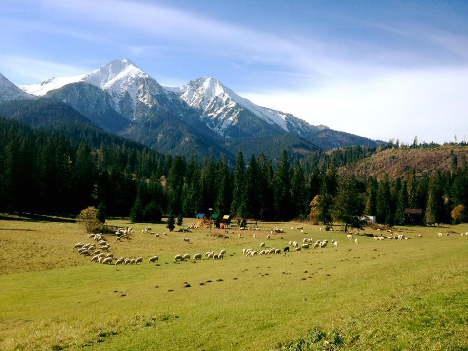 Hotel Magura Ždiar Esterno foto